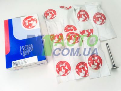 ВАЗ 2172. SM. Головки блока цилиндров